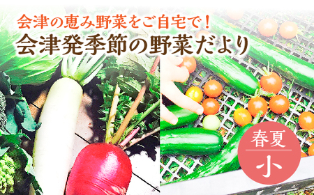 会津発季節の野菜だより（小・春夏）　【07208-0256】
