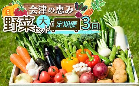 会津発 季節の野菜だより(大)定期便3回 [07208-0263]