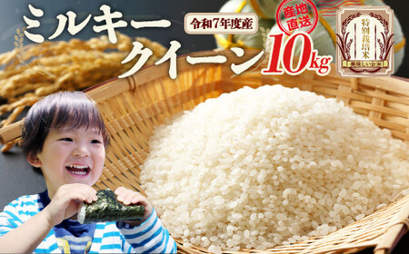 ߘa7NYᑠ҂ ~L[NC[(ʍ͔|) 10kg@y07208-0679z