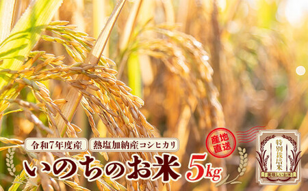 [先行予約]令和7年産雪蔵銀ぴか米 熱塩加納産 いのちのお米(コシヒカリ)5kg(令和7年10月24日以降発送) [07208-0683]