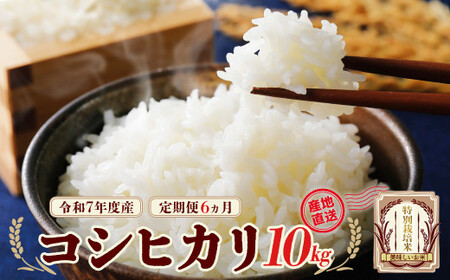 ߘa7NY ʍ͔|ăRVqJ  10kg×U v60kg ys\z y6ցzᑠ҂ iߘa7N1014ȍ~jy07208-0686z