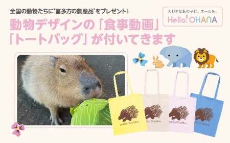 yT[rXzS̓Ɋ쑽̔_Yiv[gIfUĆuHvug[gobOvtĂ܂I@y07208-0729z