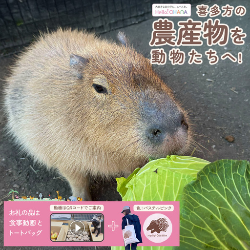 [動物推し活サービス]全国の動物たちに"喜多方の農産品"をプレゼント!〜動物デザインの「食事動画」「トートバッグ」が付いてきます〜 [カラー:パステルピンク] [07208-0729-B]