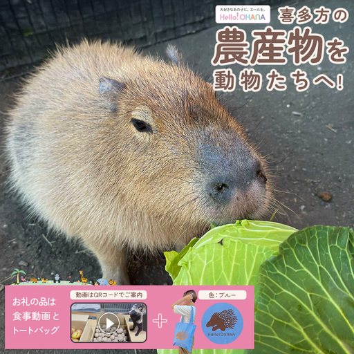 【動物推し活サービス】全国の動物たちに