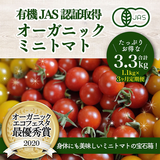 [3か月定期便][日本一の栄養価]濃厚!有機ミニトマトの宝石箱1.1kg[計3.3kg] [07208-0819]