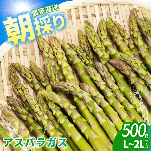 会津産アスパラガス L〜2Lサイズ 500g [07208-0838]