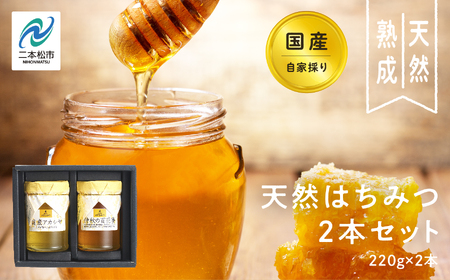 国産天然はちみつ 2本セット(220g×2) | ハチミツ 蜂蜜 [株式会社渡辺養蜂場]