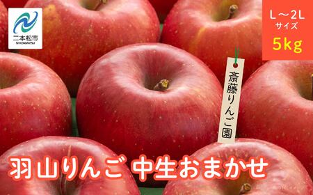 りんご《2026年10月以降順次発送》羽山のりんご 中生おまかせL～2Lサイズ5kg りんご リンゴ 果物 フルーツ【斎藤りんご園】