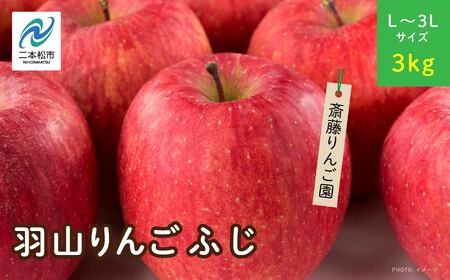 [2025年11月下旬以降順次]羽山のりんご ふじL〜3Lサイズ3kg りんご リンゴ 果物 フルーツ 羽山りんご 3kg ふじ 人気 くだもの おすすめ お中元 お歳暮 ギフト 二本松市 ふくしま 福島県 送料無料 [斎藤園]