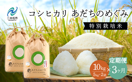 米 定期便 3ヶ月 JAふくしま未来 コシヒカリ 5kg×2袋【こらんしょ市】