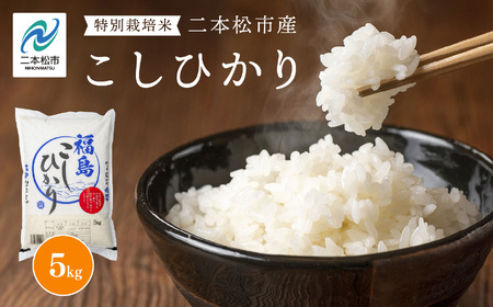 二本松市産こしひかり5kg 米 精米 コシヒカリ 5kg 特別栽培 お米 こめ おすすめ お中元 お歳暮 ギフト 二本松市 ふくしま 福島県 送料無料[株式会社あだたら米]