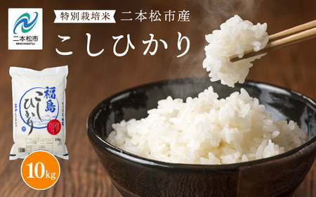 令和6年産 二本松市産こしひかり10kg 米 精米 コシヒカリ 10kg 特別栽培 お米 こめ おすすめ お中元 お歳暮 ギフト 二本松市 ふくしま 福島県 送料無料【株式会社あだたら米】