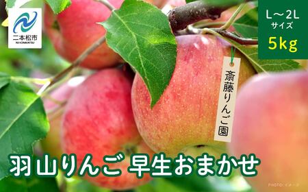 [2025年8月下旬以降順次発送]羽山のりんご 早生おまかせL〜2Lサイズ5kg りんご リンゴ 果物 フルーツ 羽山りんご 3kg 早生 人気 くだもの おすすめ お中元 お歳暮 ギフト 二本松市 ふくしま 福島県 送料無料 [斎藤園]