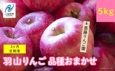 [3ヶ月定期便]品種おまかせ!羽山のりんご5kg×3回 りんご リンゴ 果物 フルーツ 羽山りんご 5kg 早生 人気 くだもの おすすめ お中元 お歳暮 ギフト 二本松市 ふくしま 福島県 送料無料 [斎藤園]
