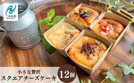 小さな贅沢!スクエアチーズケーキ12個セット ベイクド チーズ ケーキ ベイクドチーズケーキ 会津産 スイーツ おすすめ お中元 お歳暮 ギフト 二本松市 ふくしま 福島県 送料無料[ジェーケーワンフーヅ株式会社]