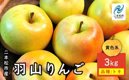 [2025年10月下旬以降発送]羽山のりんご トキ3kg りんご リンゴ 林檎 国産 フルーツ 果物 人気 ランキング おすすめ ギフト 故郷 ふるさと 納税 福島 ふくしま 二本松市 送料無料 [羽山果樹組合]