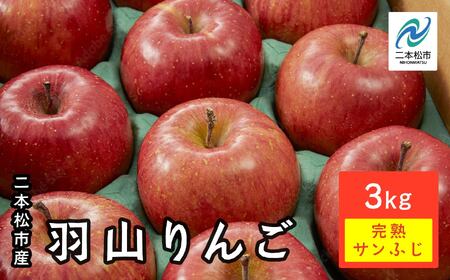 [2025年12月上旬以降発送]羽山りんご 完熟サンふじ 3kg りんご リンゴ 林檎 国産りんご フルーツ 果物 人気 ランキング おすすめ ギフト ふるさと 納税 福島 ふくしま 二本松市 送料無料 [羽山果樹組合]