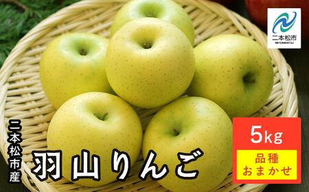 [2025年11月中旬以降発送]羽山りんご 品種おまかせ(中早生)5kg りんご リンゴ 林檎 国産りんご フルーツ 果物 人気 ランキング おすすめ ギフト 故郷 ふるさと 納税 福島 ふくしま 二本松市 送料無料 [羽山果樹組合]
