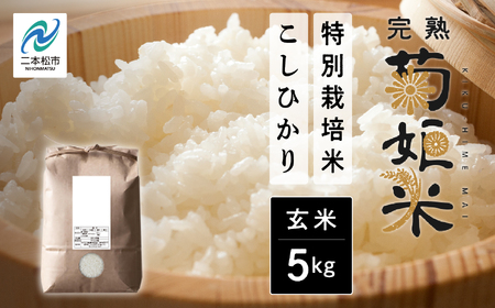 完熟菊姫米 特別栽培米コシヒカリ 玄米5kg[ADATARAふぁーむ]