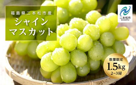 [2025年9月中旬以降発送]羽山のぶどうシャインマスカット1.5kg ぶどう シャインマスカット フルーツ 果物 ブドウ 葡萄 旬 グルメ おいしい 人気 ランキング おすすめ ギフト 福島 ふくしま 二本松市 送料無料[羽山果樹組合]