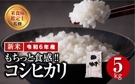 [ 令和6年産 ] 田村産 コシヒカリ 5kg 精米 白米 贈答 ギフト プレゼント 美味しい 米 kome コメ ご飯 ブランド米 精米したて お米マイスター 匠 食味鑑定士 福島 ふくしま 田村 安藤米穀店