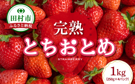 イチゴ 福島県の返礼品 検索結果 | ふるさと納税サイト「ふるなび」