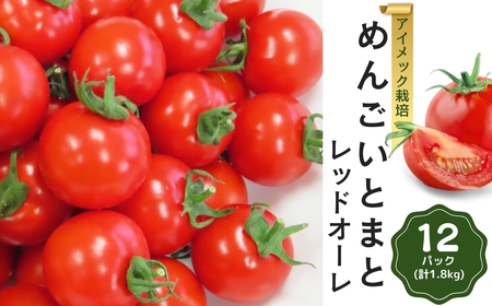 ys\z߂񂲂Ƃ܂ TYbhI[ 150g×12pbN ( v1.8kg ) 1 ߂񂲂Ƃ܂Ƃނ ACbN͔| ~jg}g g}g v`g}g ~g}g  _ƒ Mtg v[