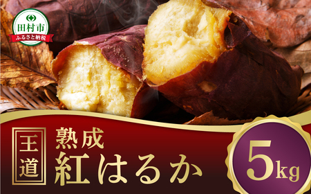 [先行予約] 熟成 さつまいも 5kg べにはるか 総重量 12月下旬より順次発送 焼き芋 紅はるか サツマイモ いも 芋 農家直送 国産 ギフト 人気 福島県 田村市 松や農園