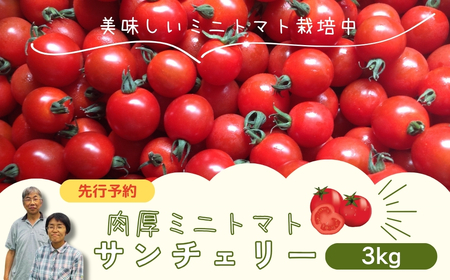 ミニトマト サンチェリー 3kg 7月発送 大容量 トマト プチトマト 新鮮 野菜 農家直送 3キロ おすすめ おいしい ギフト 贈答 プレゼント 福島県 田村市 田村 よしのや農園