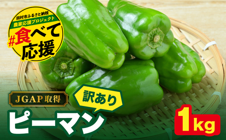 農家さん応援! [訳あり] ピーマン 1kg JGAP取得 農家直送 冷蔵便 野菜 新鮮 BBQ 焼肉 国産 おすすめ 送料無料 緊急支援品 生活応援 コロナ支援 福島県 田村市 株式会社Mファーム