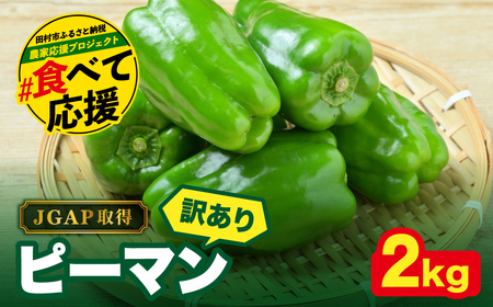 農家さん応援！ 【訳あり】 ピーマン 2kg JGAP取得 農家直送 冷蔵便 野菜 新鮮 BBQ 焼肉 国産 おすすめ 送料無料 緊急支援品 生活応援 コロナ支援 福島県 田村市 株式会社Mファーム