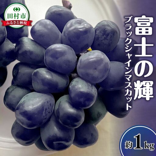 [先行予約]富士の輝 約1kg 種無し 種なし シャインマスカット ぶどう 果物 巨峰 福島県 田村市