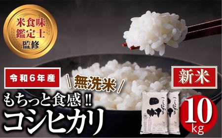 ＼ 年内発送 12/24(火)決済完了分まで！／【 新米 】【 無洗米 】 令和6年産 田村産 コシヒカリ 10kg ( 5kg × 2袋 ) 精米 白米 贈答 ギフト プレゼント 美味しい 米 kome コメ ご飯 ブランド米 精米したて お米マイスター 匠 食味鑑定士 福島 ふくしま 田村 安藤米穀店