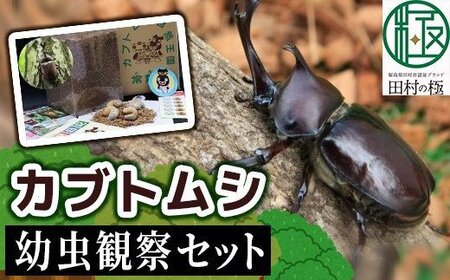 虫の返礼品 検索結果 | ふるさと納税サイト「ふるなび」