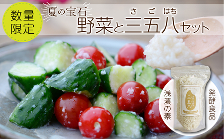 [先行予約] 夏の宝石野菜と三五八(さごはち)セット ※限定50セット 人気 おすすめ 野菜 夏野菜 やさい 三五八 さごはち 発酵 発酵食品 健康 腸活 農家直送 新鮮 ギフト 贈答 中トマト ミニトマト 枝豆 レシピ 福島県 田村市 田村