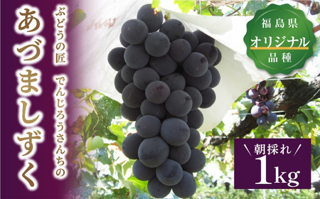 先行予約 あづましずく 約1kg ぶどう 果物 フルーツ 福島県 田村市