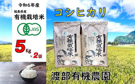 コシヒカリ 5kg×2袋 有機米[11月から順次発送][68001]