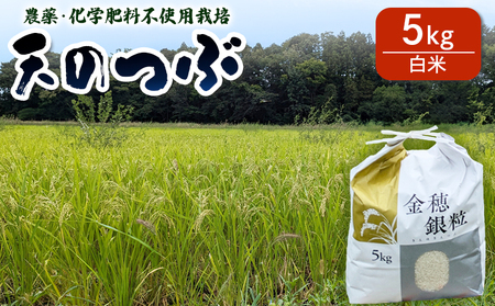 [先行予約]天のつぶ 白米 5kg 有機的栽培 令和7年産 | 南相馬市 新米 ごはん みさき未来