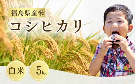 [先行予約] コシヒカリ 白米 5kg | 福島 福島県産 福島産 精米 令和7年産 令和7年産米 武田ファーム サムランド[149448-001-01]