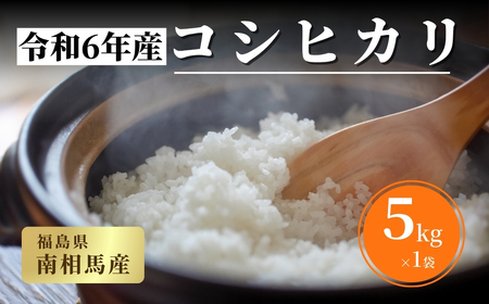 コシヒカリ 5kg 白米 令和6年産コシヒカリ 福島県産コシヒカリ 精米 コシヒカリ 南相馬産コシヒカリ