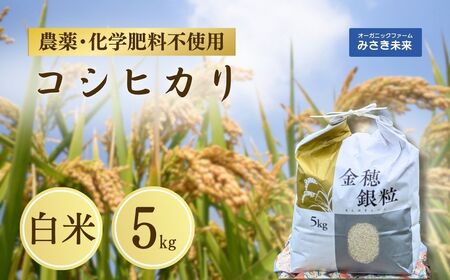 令和7年産 新米 コシヒカリ 白米 5kg | 農薬不使用 化学肥料不使用 みさき未来