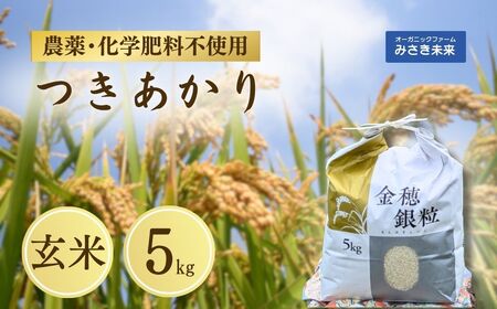 令和7年産 新米 つきあかり 玄米 5kg | 農薬不使用 化学肥料不使用 みさき未来
