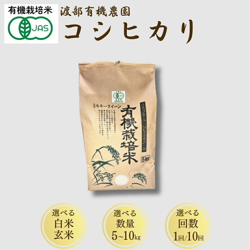 JAS有機米 コシヒカリ 白米 5kg ｜ 令和7年産 渡部有機農園