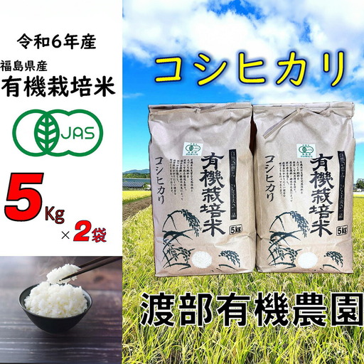 JAS有機米 コシヒカリ 白米 10kg ｜ 令和7年産 渡部有機農園