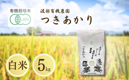 JAS有機米 つきあかり 白米5kg | 令和7年産 渡部有機農園