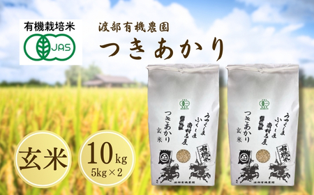 JAS有機米 つきあかり 玄米 10kg | 令和7年産 渡部有機農園