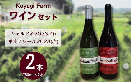 ワイン 2本セット 甲斐ノワール / シャルドネ