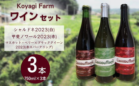 ワイン 3本セット シャルドネ / 甲斐ノワール / マスカット・ベリー×ブラッククイーン