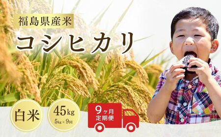 【定期便】コシヒカリ 白米 45キロ (5kg×9回) 令和8年産 ｜ コシヒカリ サムランド