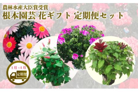 [先行予約]季節の花 定期便 4回 (1-4月) 色おまかせ 根本園芸 | 花ギフト定期便